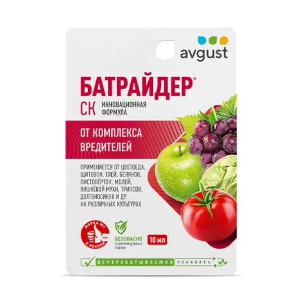 Батрайдер
