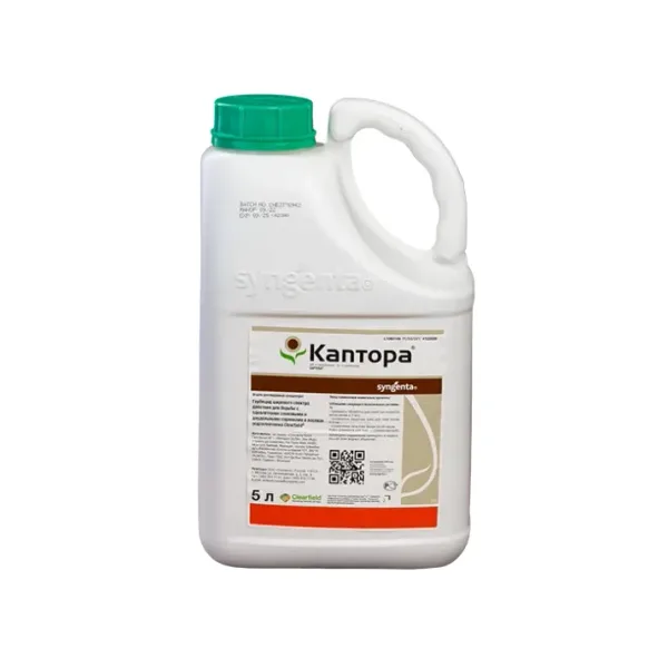 Каптора