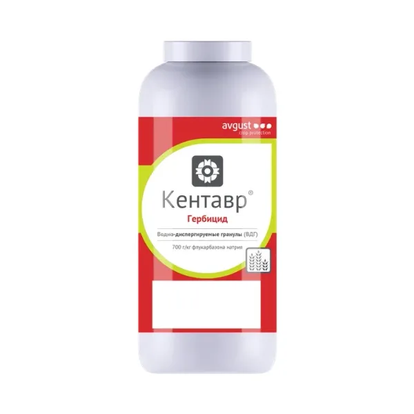 Кентавр