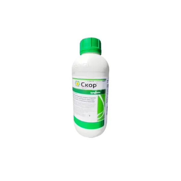 Скор